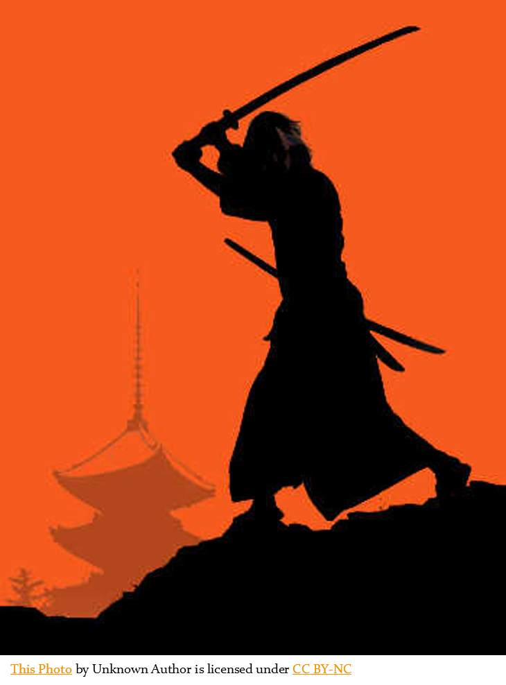 Agile Samurai Course