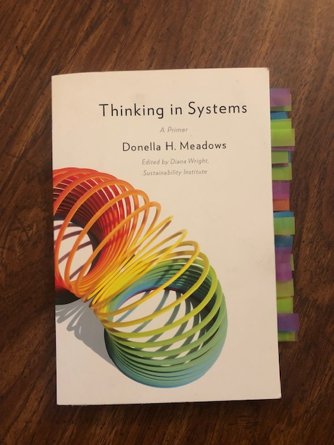 Thinking in Systems