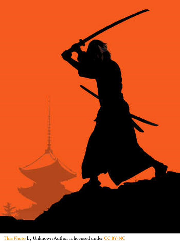 Agile Samurai Course